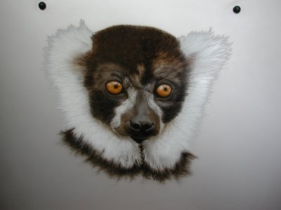 Detail of Airbrushed Monkey
