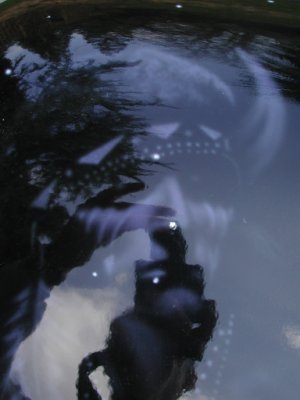 Detail of airbrushed Indian Head