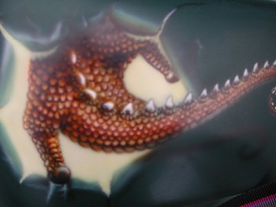Airbrushed tail on bike panel