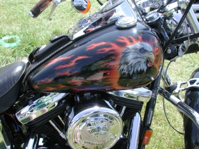 A bald eagle rising from the flames