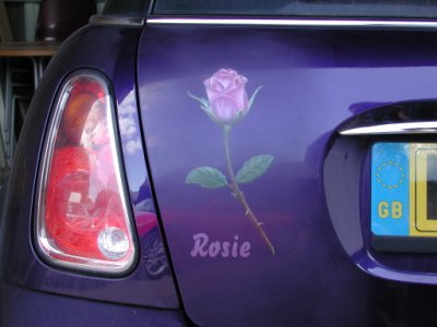 Rosebud and Name