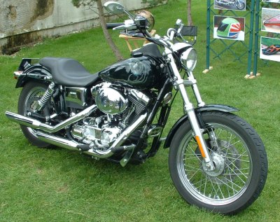 The Whole Harley