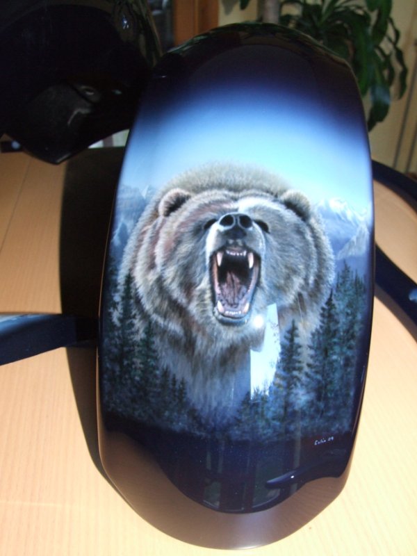 Roaring bear on front mudguard