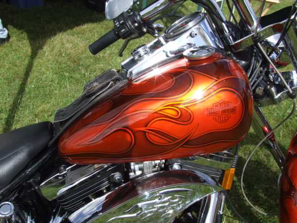 Side view of Tribal  Flames