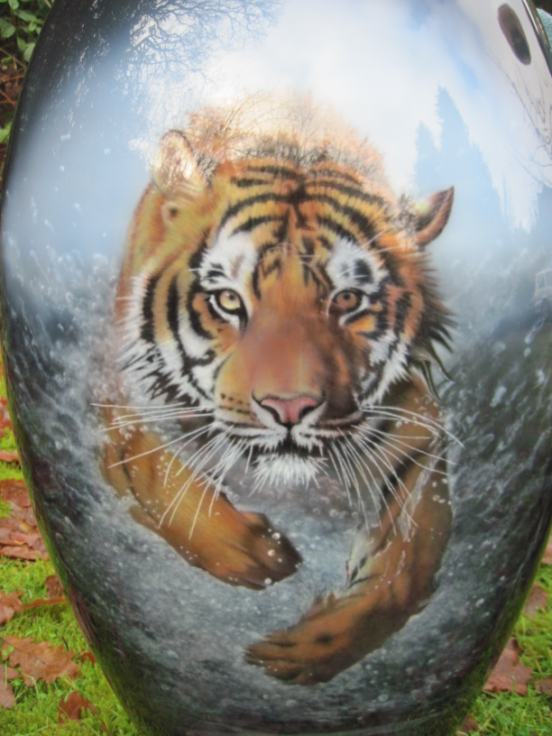Detail of tiger