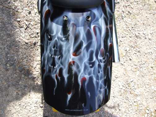 Rear Mudguard